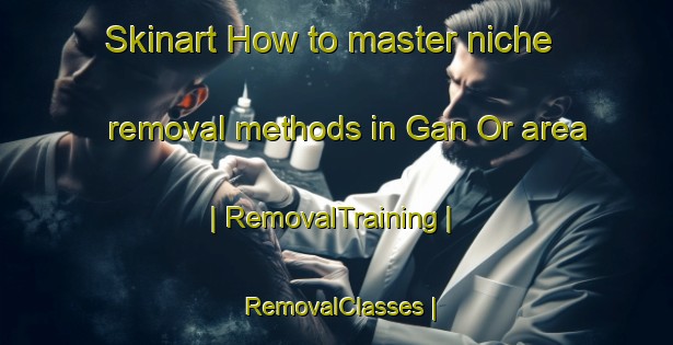 Skinart How to master niche removal methods in Gan Or area | RemovalTraining | RemovalClasses | SkinartTraining-State of Palestine
